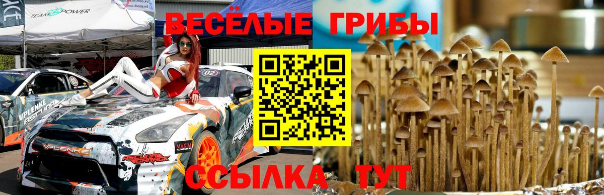 Дзержинский  Псилоцибиновые грибы Psilocybine cubensis  Вход с VPN  где купить наркоту  Галлюциногенные грибы Cubensis 