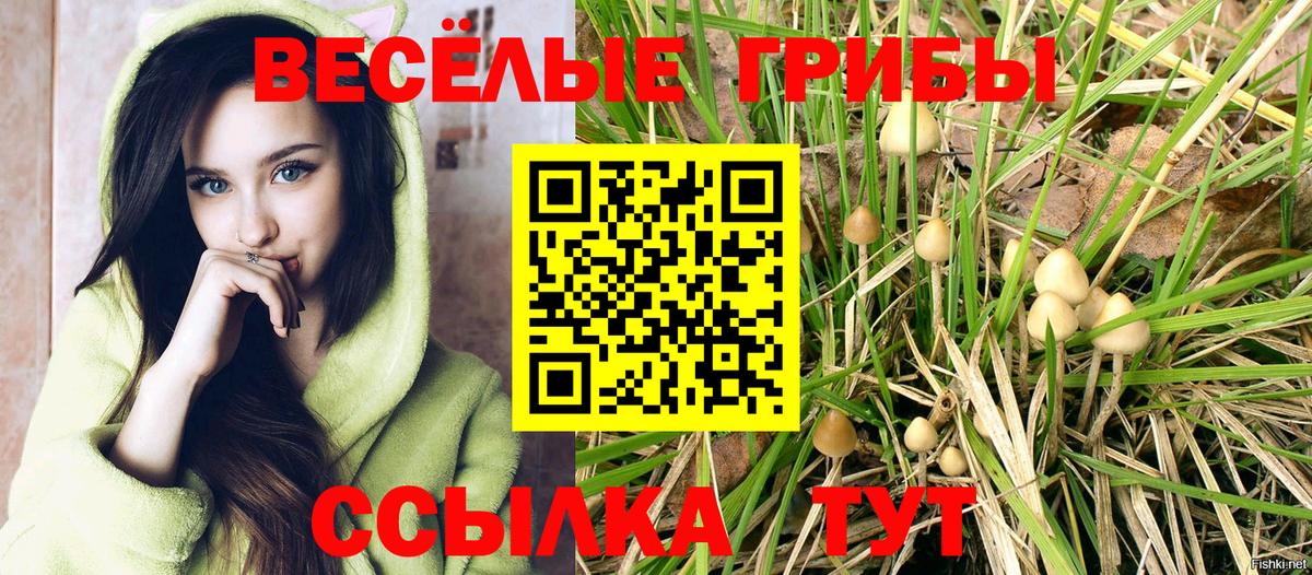 Псилоцибиновые грибы Psilocybine cubensis Дзержинский